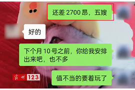 开原开原的要账公司在催收过程中的策略和技巧有哪些？