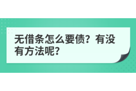 开原为什么选择专业追讨公司来处理您的债务纠纷？